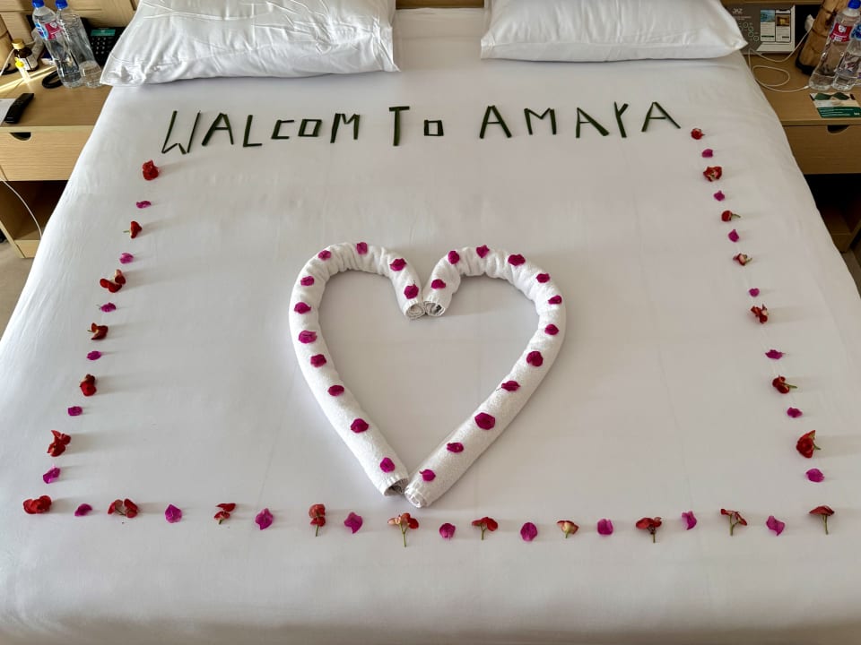 Zimmer JAZ Elite Amara