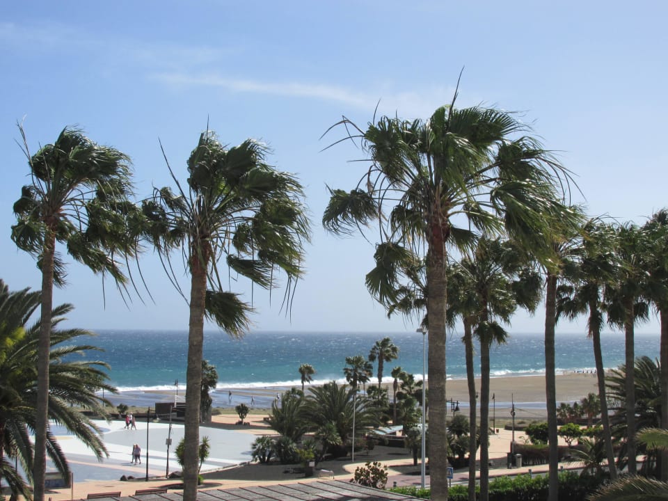 Blick vom Balkon Hotel Riu Paraiso Lanzarote