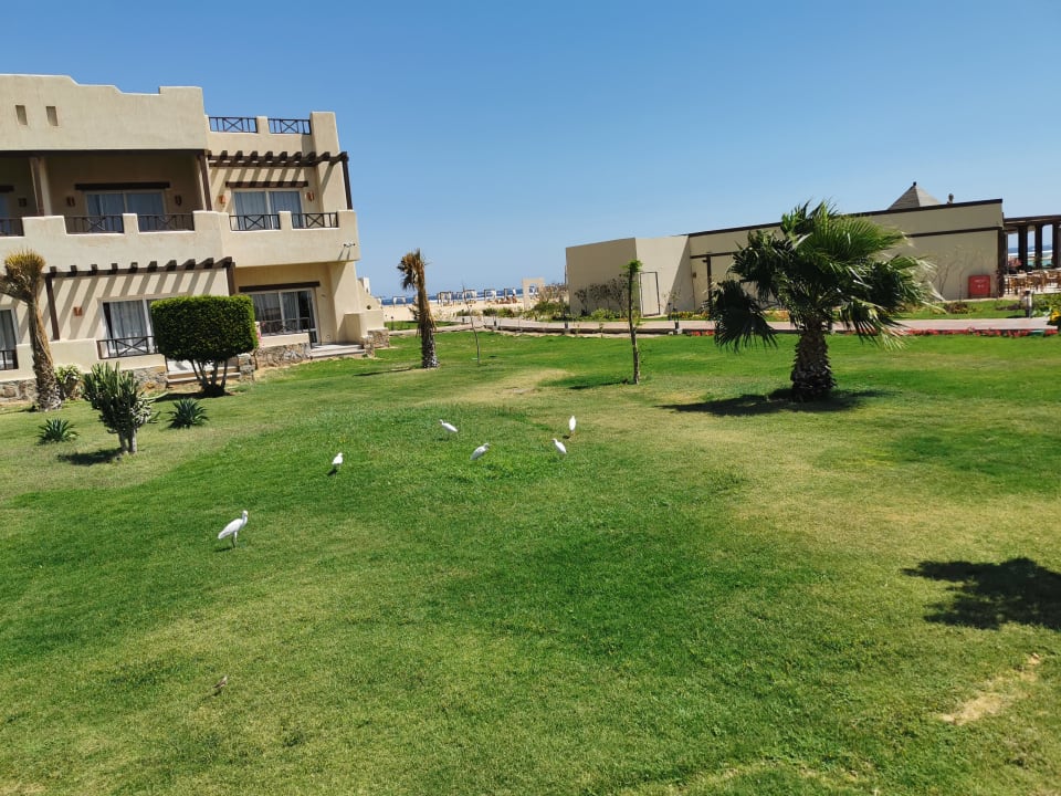 Gartenanlage True Beach Village