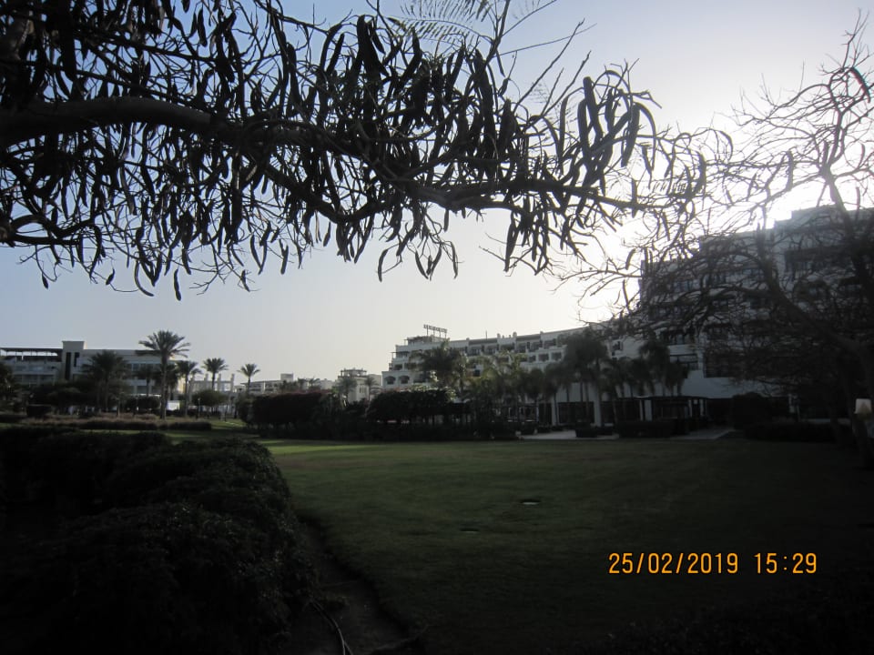 Gartenanlage Steigenberger ALDAU Beach Hotel