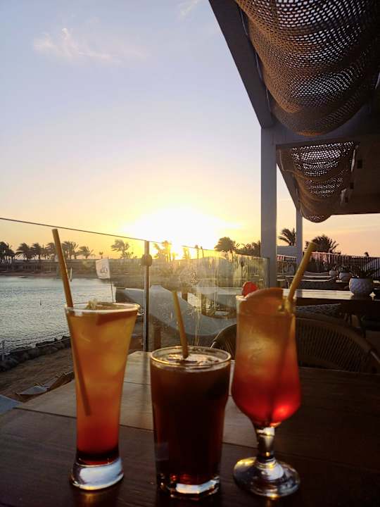 Ausblick Desert Rose