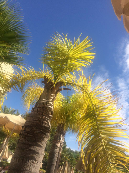 Gartenanlage 3HB Guaraná - All Inclusive