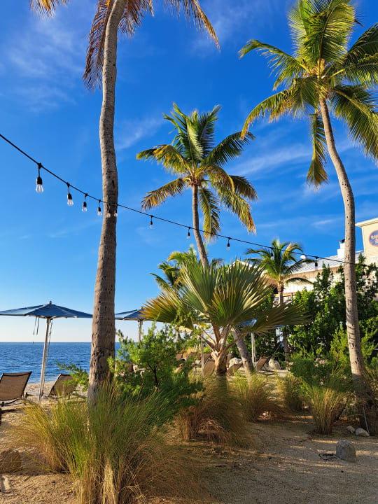 Strand Postcard Inn Beach Resort & Marina @ Holiday Isle