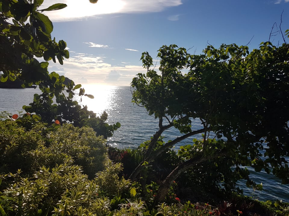 Ausblick Bahia Principe Grand Samana - Adults Only