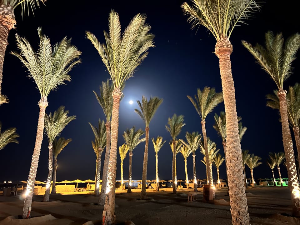 Gartenanlage Casa Mare Resort