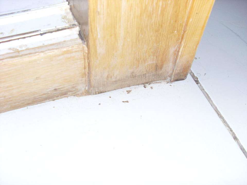 Boden Ghazala Gardens