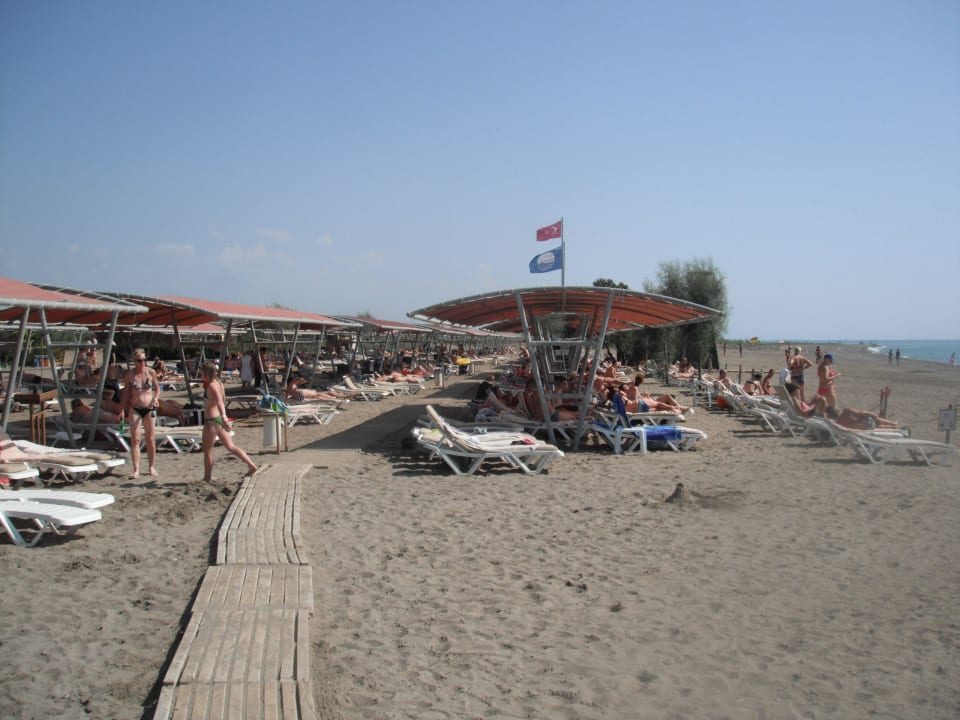 Blaue Flagge  Crystal Paraiso Aqua Collection