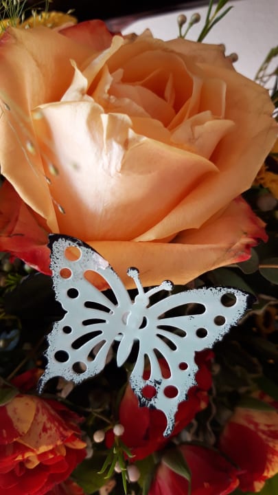 Sonstiges Hotel Der Löwe - Lebe frei