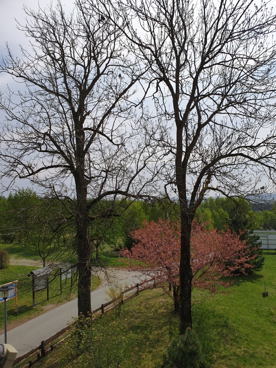 Gartenanlage Berghotel Drei Brüder Höhe