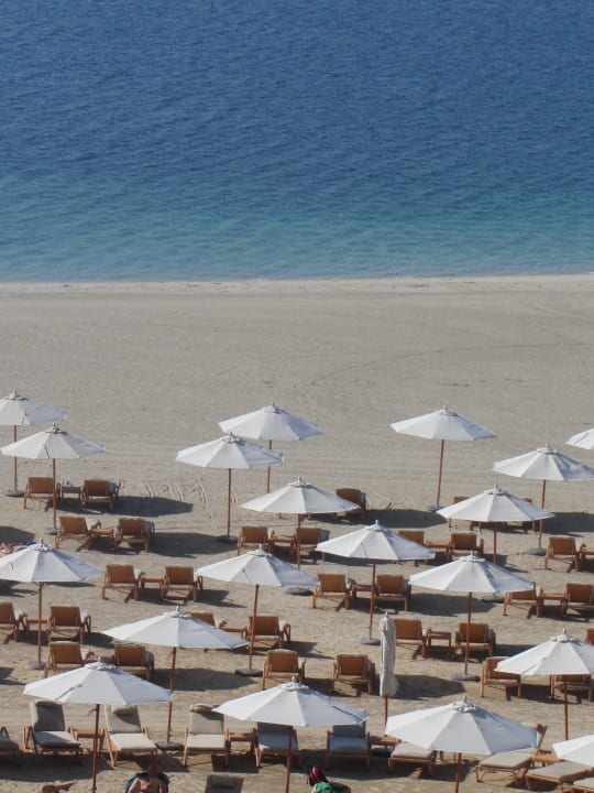 Freie Auswahl Fairmont The Palm