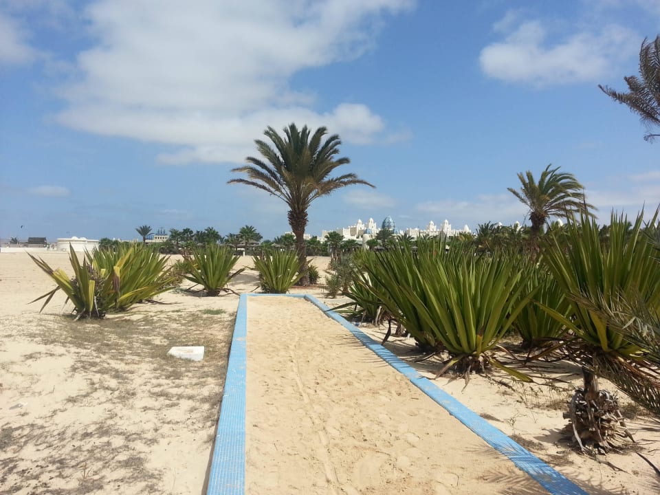 Laut Lageplan der "Schildkrötenpool" Hotel Riu Karamboa