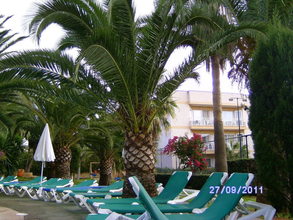 Simo I Club Simó Hotel by Senator