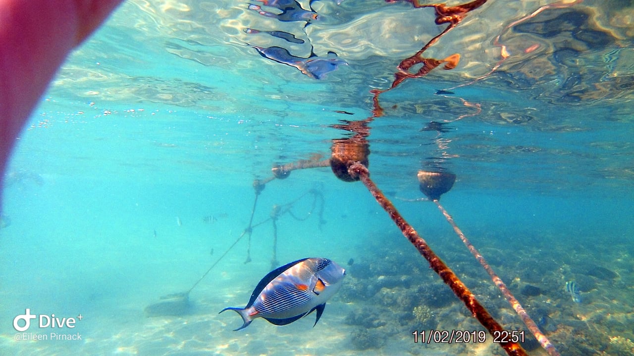 Sport & Freizeit Hotel JAZ Makadi Star & Spa