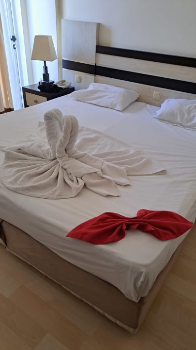 Zimmer Hotel Orfeus Park