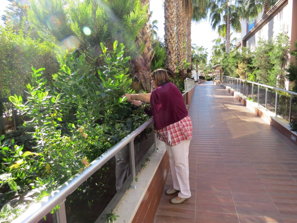 In der Außenanlage Hane Family Resort