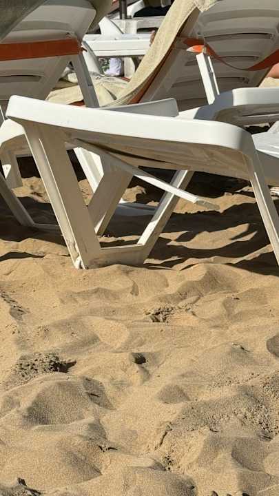 Strand Side Alegria Hotel & Spa - Adults only +16