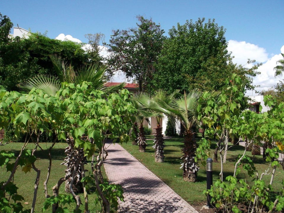 Garten bzw. der Weg zwischen den Häusern im Club Club Tuana Fethiye