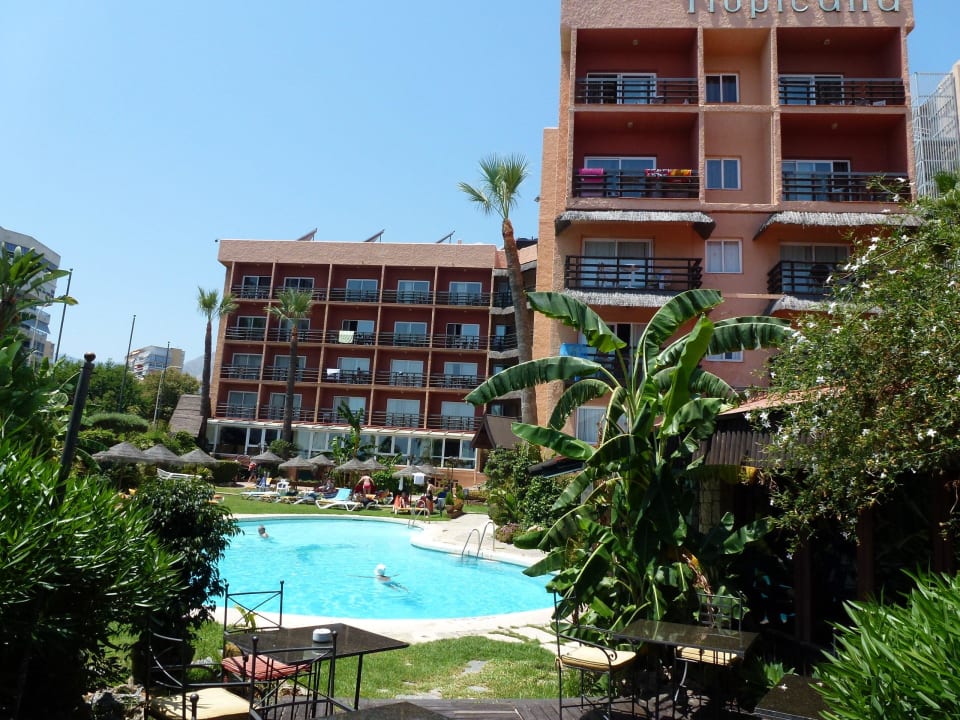 Blick auf den Pool Hotel MS Tropicana