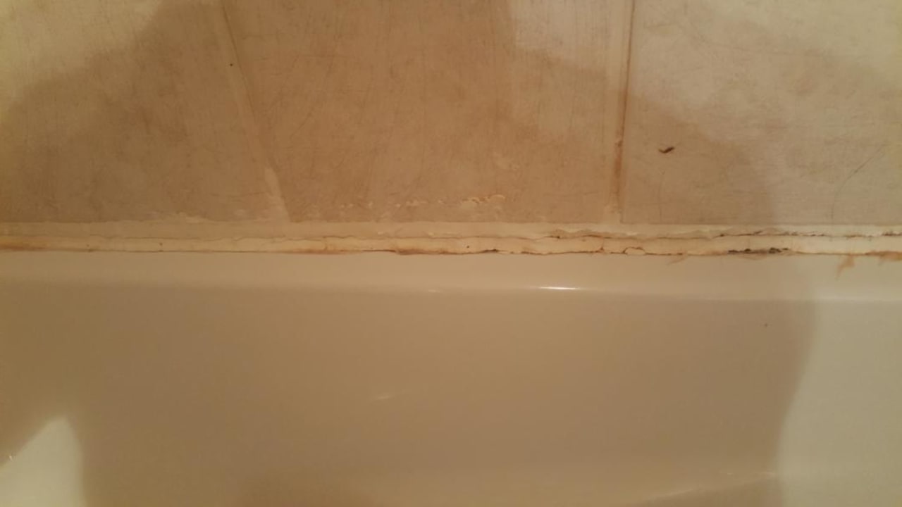 Zimmer Ghazala Gardens