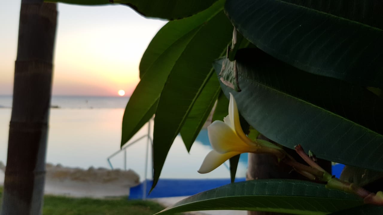 Sonstiges Makadi Spa - Adults only