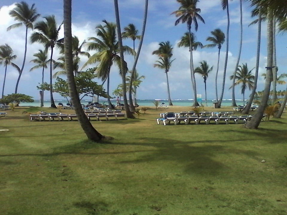 Blick zum Strand Wyndham Alltra Samana