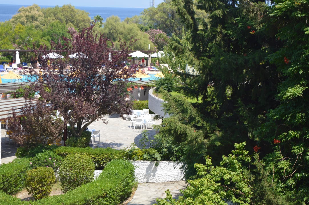 Ogród Hotel Athos Palace