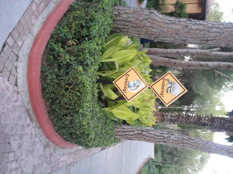 Sehr grün und tierreich Asteria Family Belek