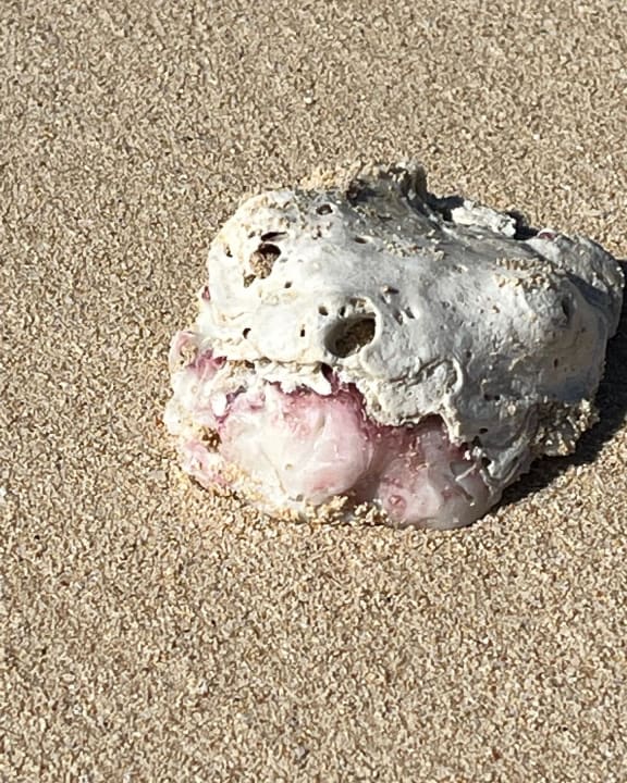 Strand Hotel Riu Touareg