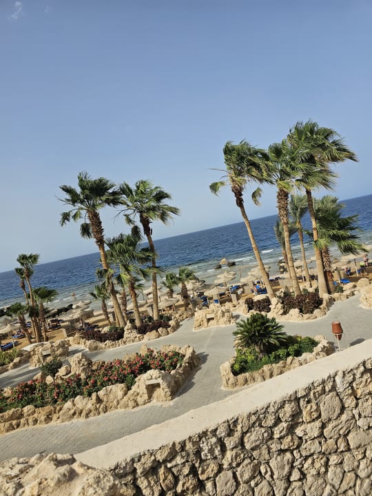 Strand Pickalbatros Citadel Resort