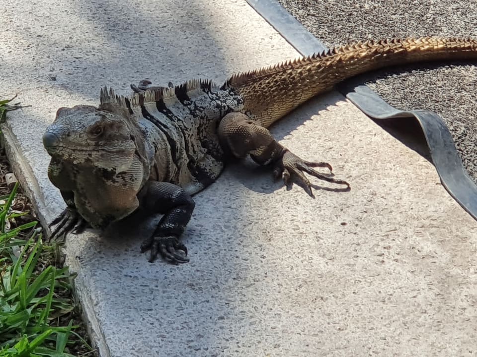 Strand Akumal Bay Beach & Wellness Resort