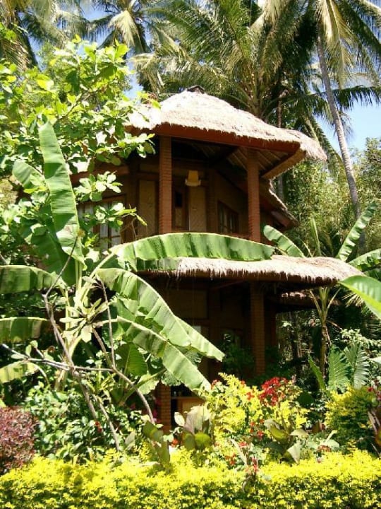 Office Hotel Gaia Oasis