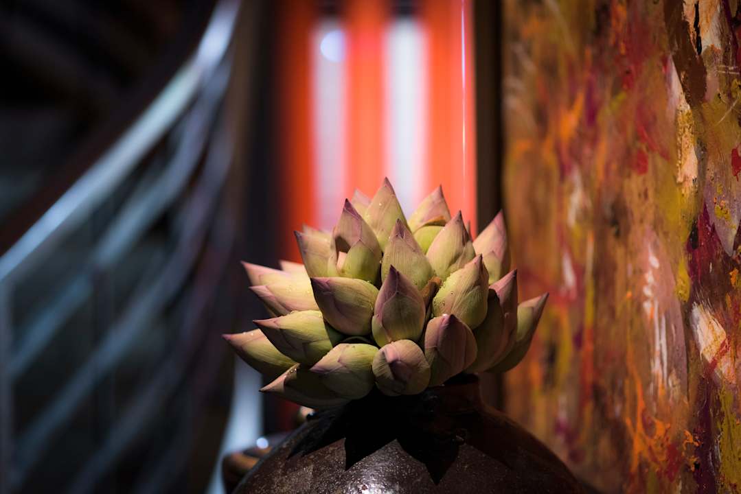 Lobby Sokkhak Boutique Resort