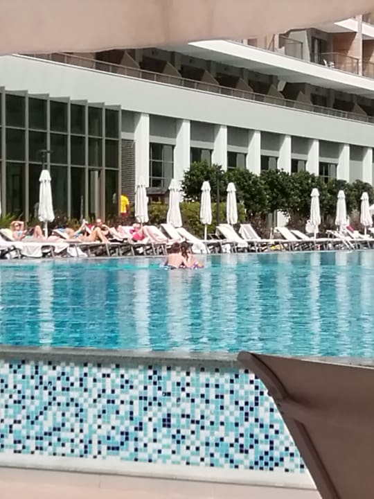 Pool Acanthus Cennet Barut Collection