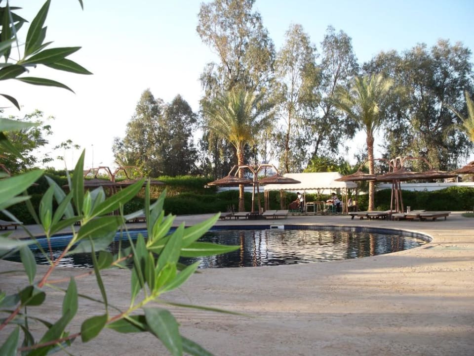 Relaxpool Ghazala Beach