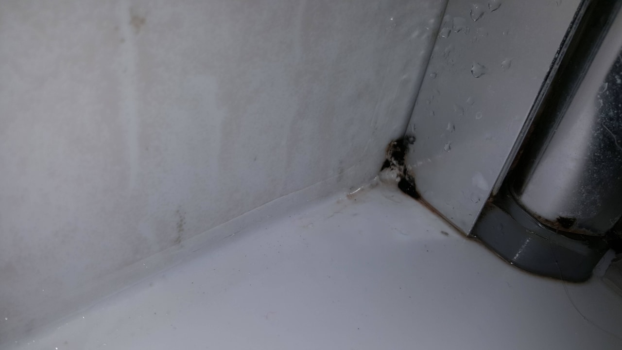 Bad Bahía de Alcúdia Hotel & Spa