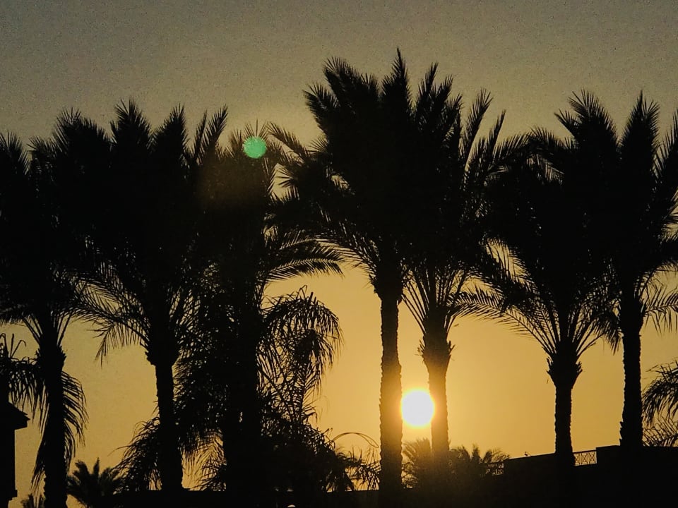 Außenansicht Jaz Grand Marsa