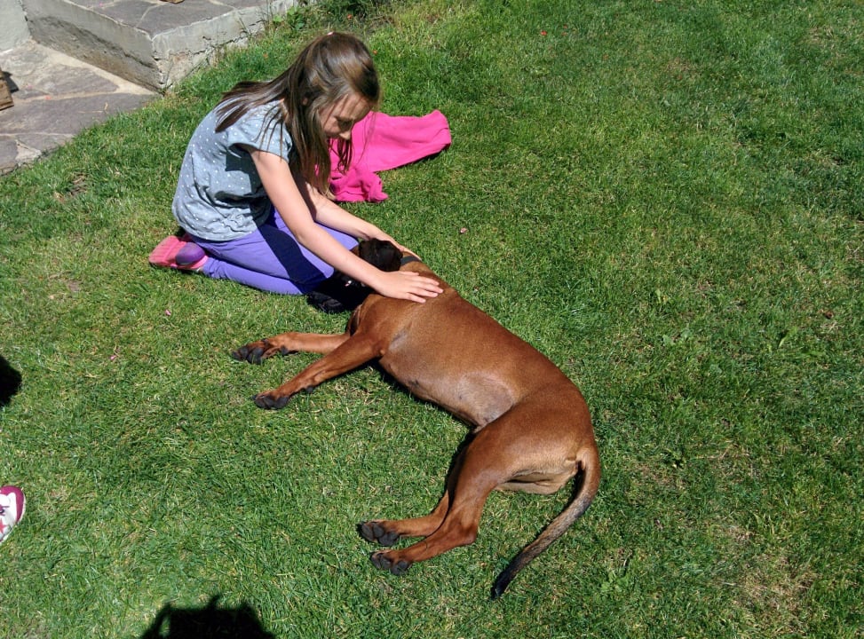 Der Hofhund Ferienhaus Bergsee