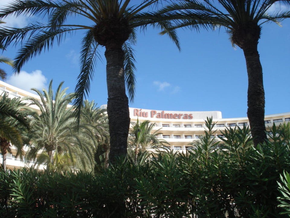 Vom Pool aus Hotel Riu Palace Palmeras
