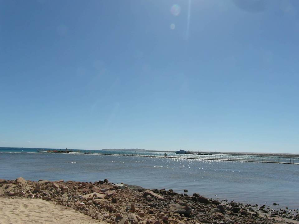 Ausblick aufs Meer die Liegen stehen schon im Sand Pickalbatros Palace Resort