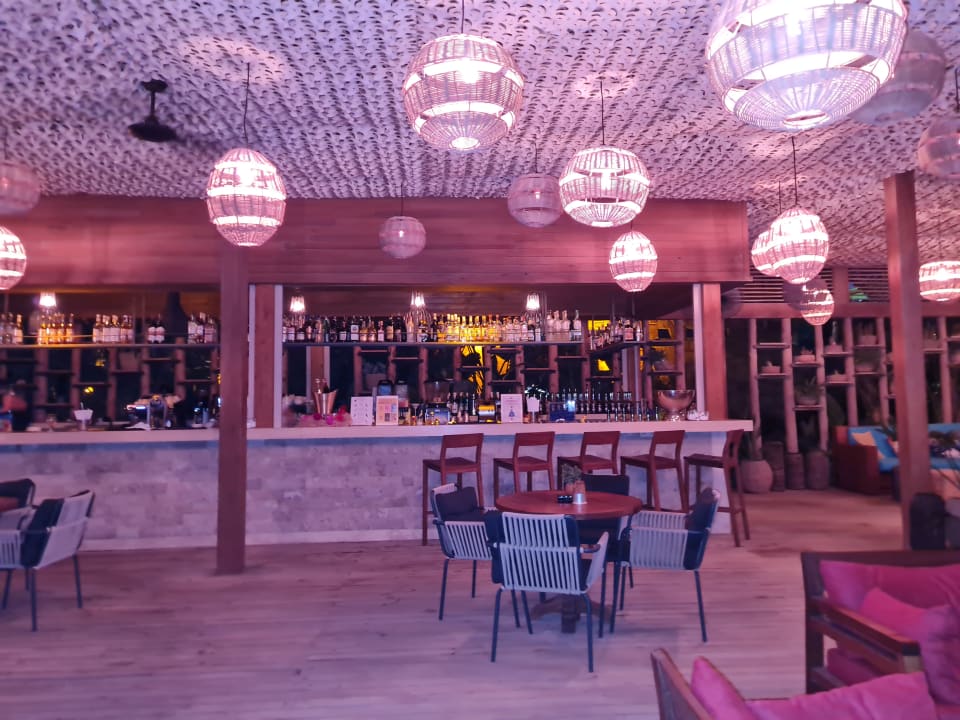 Gastro Arum Barut Collection