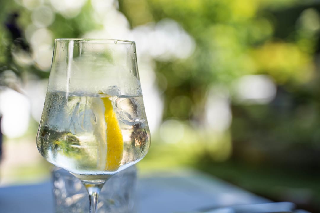 Gastro Der Schlosswirt zu Anif - Biedermeierhotel & Restaurant