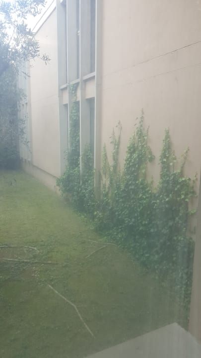 Gartenanlage Sercotel As Porta Catalana