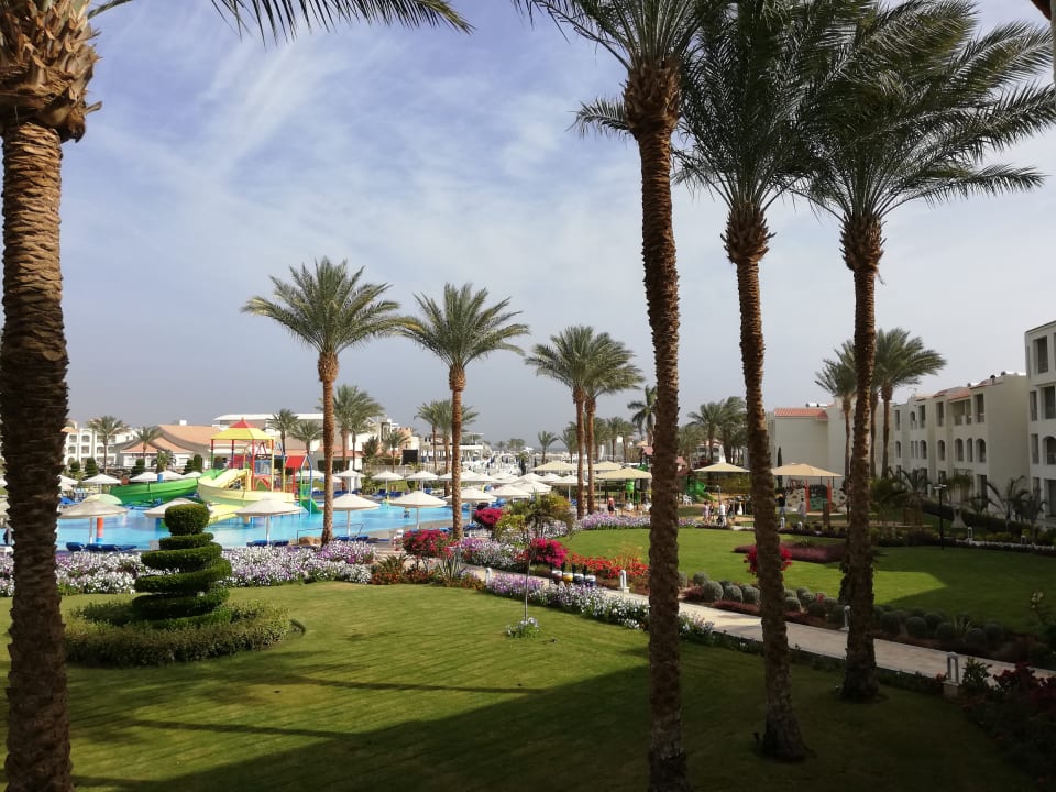 Ausblick Pickalbatros Dana Beach Resort - Hurghada