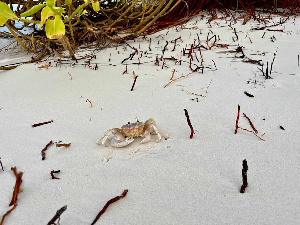 Strand Meeru Maldives Resort Island