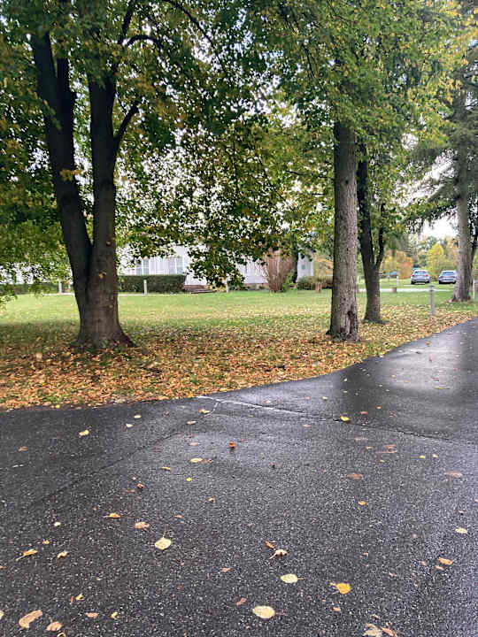 Außenansicht Seehotel Frankenhorst - BW Signature Collection