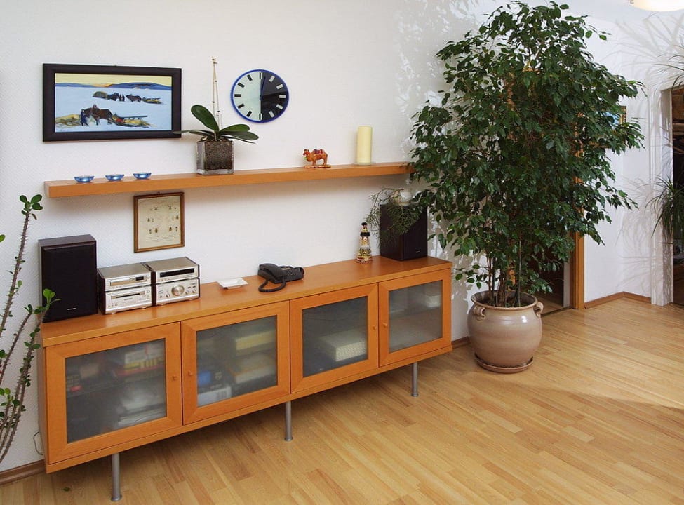 Гостинная категория "VIP" Tsaritsyno Hotel