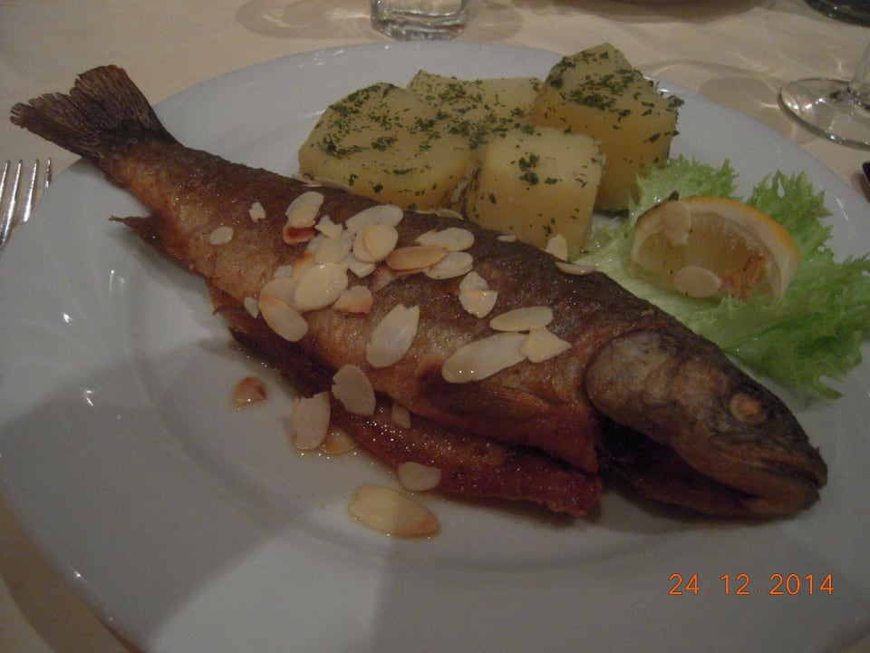 Abendessen/Hauptgang Hotel-Gasthof-Obermair