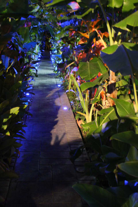 Weg zum Strand bei Nacht Irene Palace Beach Resort Club alltoura