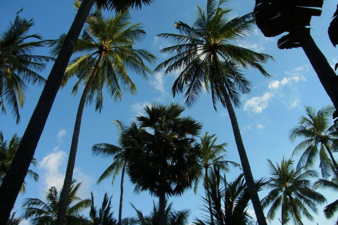 Wohnen unter Palmen Alam Anda Ocean Front Resort & Spa