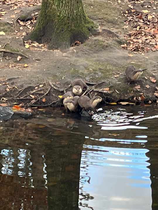 Sport & Freizeit Center Parcs De Kempervennen